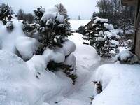 Zimní zahrada 2009