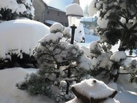 zimní zahrada v prosinci 2010