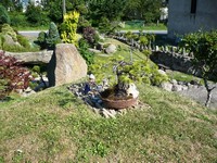 Jimmův hrob - letní podoba s bonsají
