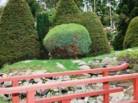 Podzimní fotky na Japonské zahradě