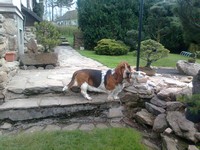 Monty u vstupu do zahrady