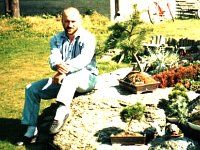 1991 kameniště s bonsaji
